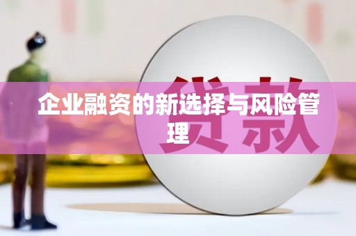 紫阳企业融资的新选择与风险管理