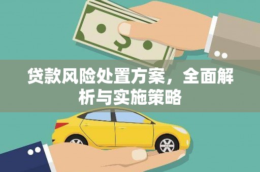 紫阳贷款风险处置方案，全面解析与实施策略