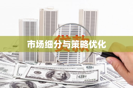 紫阳市场细分与策略优化