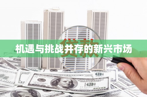 紫阳机遇与挑战并存的新兴市场