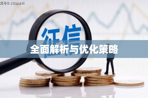 紫阳全面解析与优化策略