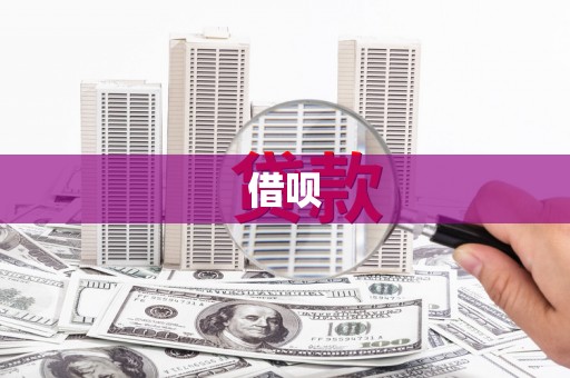 紫阳借呗