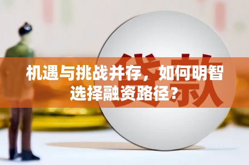 紫阳机遇与挑战并存，如何明智选择融资路径？