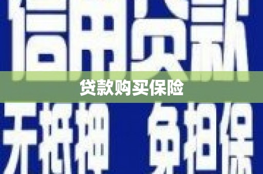 紫阳贷款购买保险