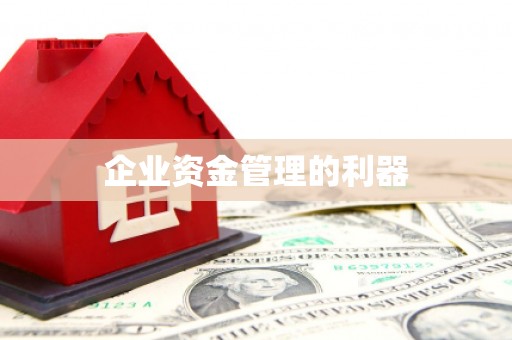 紫阳企业资金管理的利器