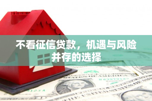 紫阳不看征信贷款，机遇与风险并存的选择