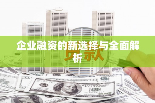 紫阳企业融资的新选择与全面解析