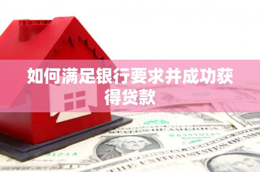 紫阳如何满足银行要求并成功获得贷款