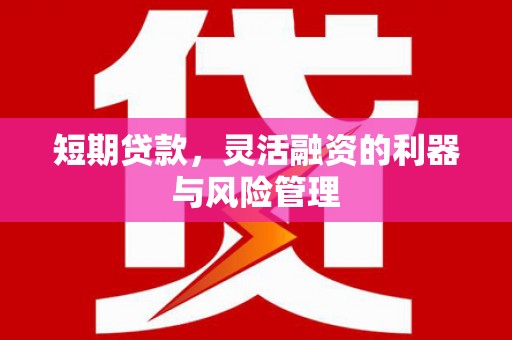 紫阳短期贷款，灵活融资的利器与风险管理